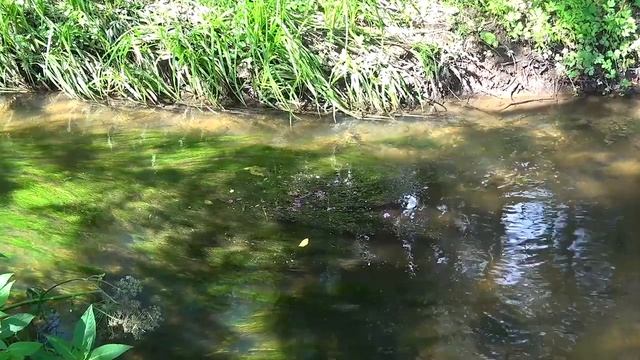 Река Серебрянка. смотреть онлайн