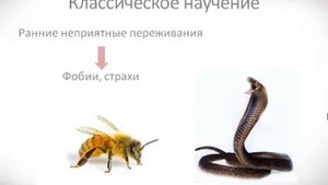 Психология урок 7 Бихевиоризм