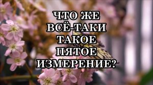 КЛЮЧЕВЫЕ УСЛОВИЯ ПЕРЕХОДА В ПЯТОЕ ИЗМЕРЕНИЕ. Звёздная Команда Сириуса. Ченнелинг