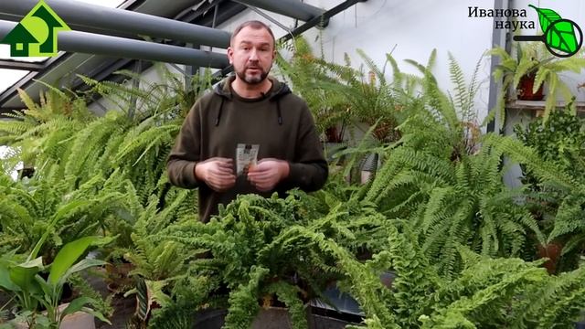 ЦИОН: ТАК ПРОСТО ПОЛУЧИТЬ ионитный субстрат БЕСПЛАТНО! Разбираем СИОН и выводим его на чистую воду! смотреть онлайн