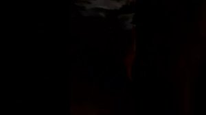 сгнил деревянный пол