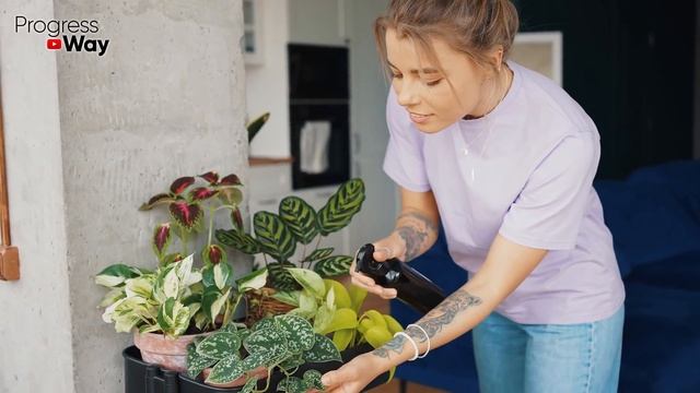 ПОСЛЕ ЭТОГО ДАЖЕ СТАРЫЕ ЦВЕТЫ В Старой И Пустой Земле Или Хилые Оживают И Цветут! смотреть онлайн
