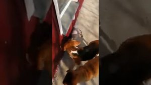 Первый день весеннего тепла.