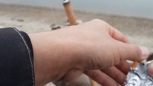 Ловля жереха осенью на водохранилище, с берега.