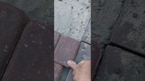 как правильно класть тратуарную плитку 👍👍👍👍