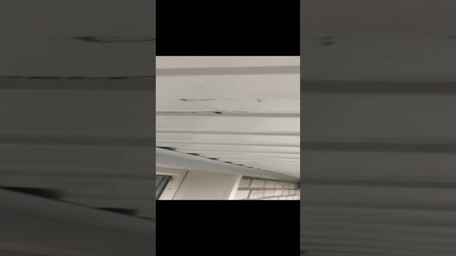 Вот так должен выглядеть карниз крыши с защитной сеткой.