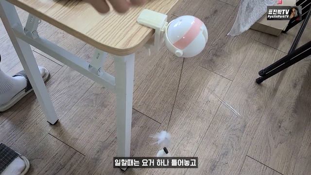 Black Cat Butler with Skin Disease 피부병 걸린 길냥이 까망이 집사 표진박의 하루 смотреть онлайн