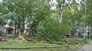 Линия электропередач на улице Козицкого повреждена из-за дождя