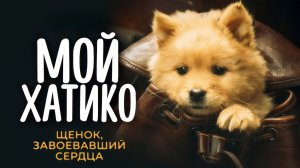 Мой Хатико - Русский трейлер - Фильм 2023