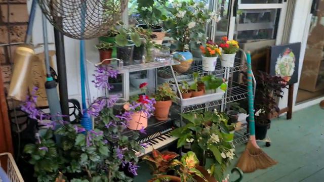 캔디 제라늄~♡ смотреть онлайн