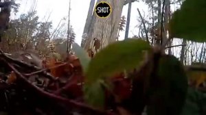 Олень напал на блогера-охотника и сильно повредил ему глаз