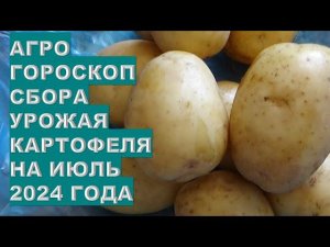 Агрогороскоп сбора урожая картофеля в июле 2024 года Potato harvest agrohoroscope for July 2024