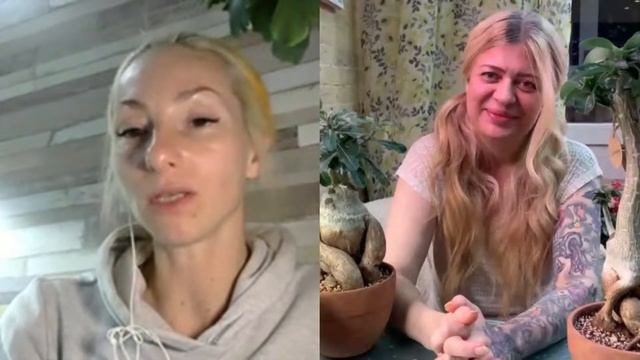 Выращиваем адениумы. Ирина Жукова для #орхидиумстрим смотреть онлайн