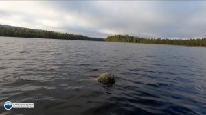 На берегу Карельской реки...