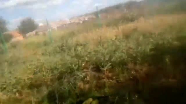 Капельный полив - это очень просто! Видео для сомневающихся 