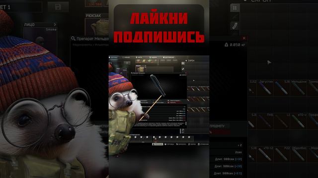 Лучшее Решение Для Новичка  #eft #тарков #tarkov #escapefromtarkov #видеоигры 0.14