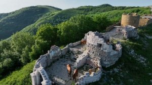 Геленджик глазами птиц. Видео фон / видео заставка / фоновое видео