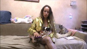 Минусы и плюсы ЧИХУАХУА