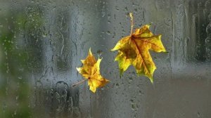 Роберт Рождественский - Письмо про дождь. Читает Владислав Витковский