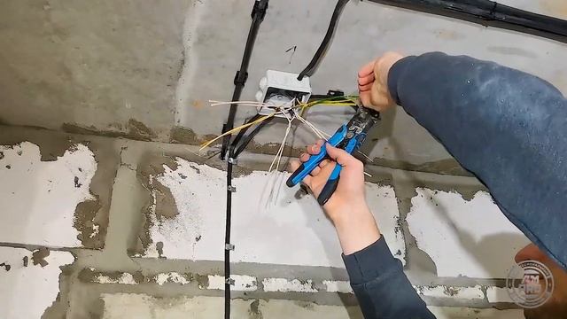 Бюджетная, быстрая, но качественная электропроводка в квартире. 1 этап. Электромонтаж г. Владимир