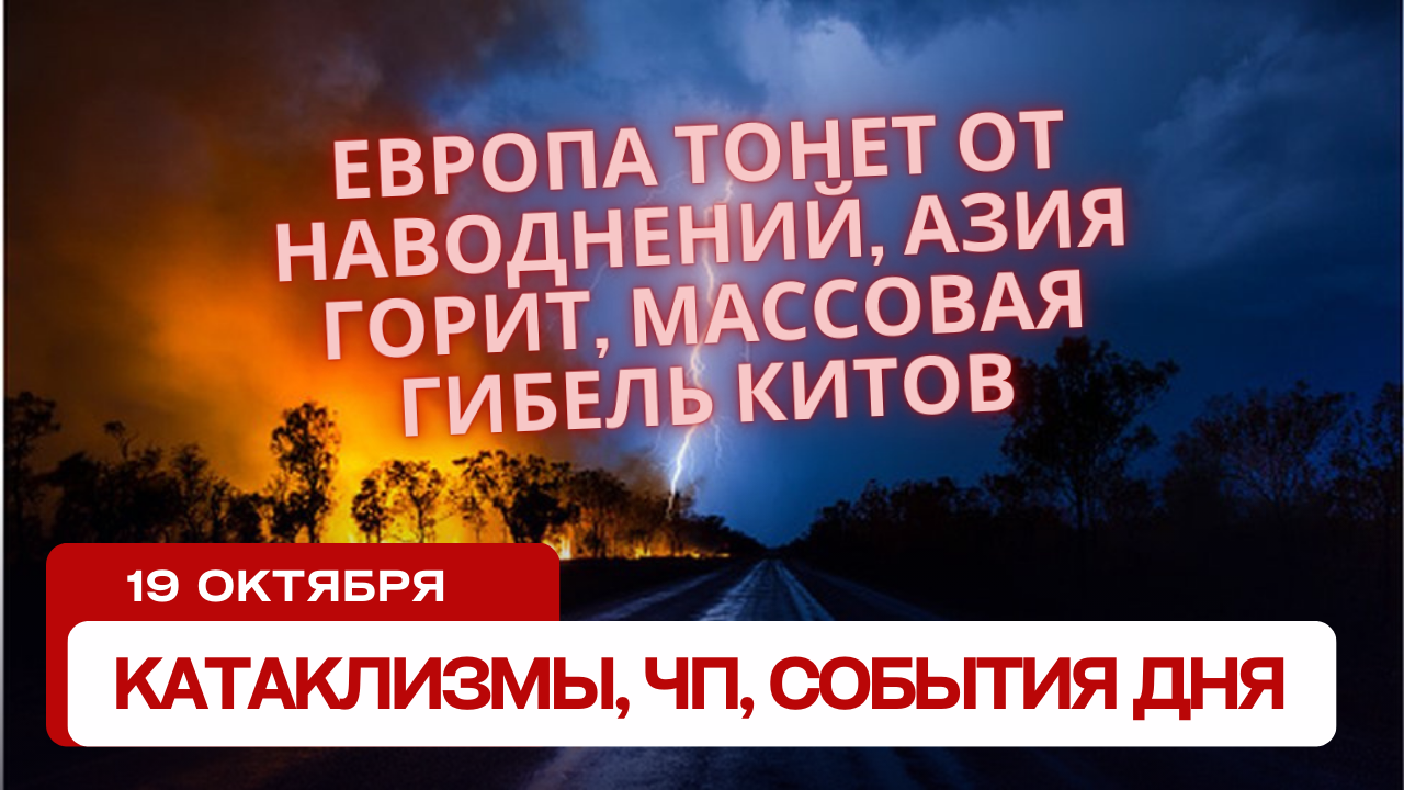 Катаклизмы 19 октября 2023. Новости сегодня. Обзор событий и происшествий.