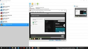 How to Install Linuxmint 19.3 Cinnamon x64 Bit Linux On Oracle VM VirtualBox 6.0.8