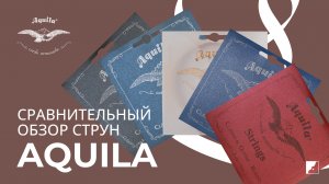 Сравнительный обзор струн Aquila с Никитой Болдыревым