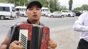 Элдик таланттар #Аккордеон #Маширап Баткен тойдо