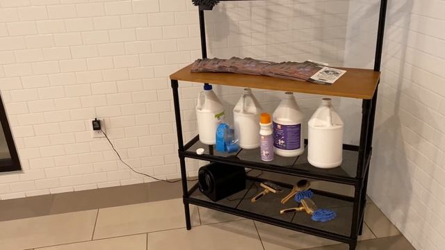 Сколько стоит аренда квартиры в США? I Как выглядит жилье в Америке? I Тур по американской квартире смотреть онлайн