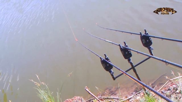 Карповая рыбалка. Не скучная рыбалка. часть I смотреть онлайн