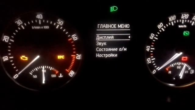 Шкода октавия а5 сервесное т.о. 15000 сброс