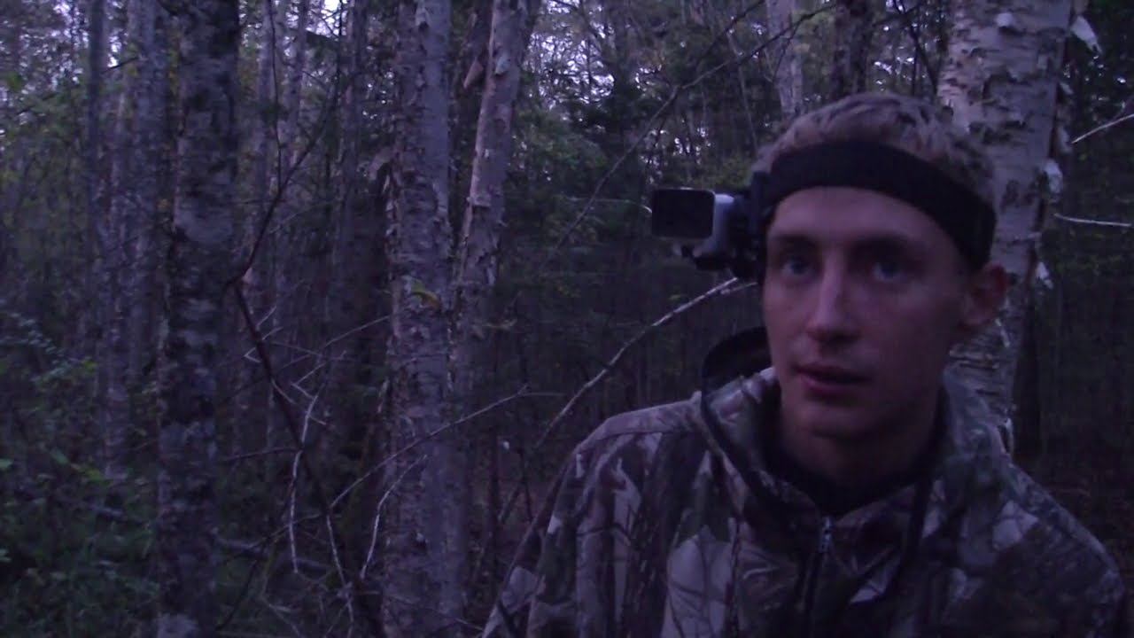 РЕВ ИЗЮБРЯ НА ДАЛЬНЕМ ВОСТОКЕ. ЗАГОТОВКА БРЕВЕН ДЛЯ НОВОЙ БАНИ В ТАЙГЕ НА УЧАСТКЕ. смотреть онлайн