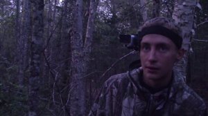 РЕВ ИЗЮБРЯ НА ДАЛЬНЕМ ВОСТОКЕ. ЗАГОТОВКА БРЕВЕН ДЛЯ НОВОЙ БАНИ В ТАЙГЕ НА УЧАСТКЕ.