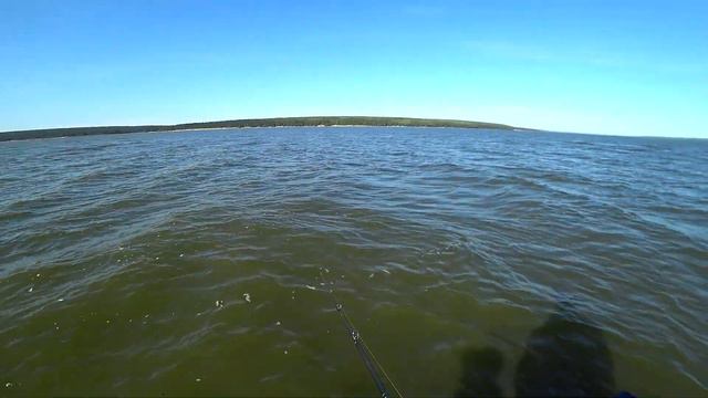 ПАССИВНЫЙ СУДАК. КТО ВИНОВАТ? ЧТО ДЕЛАТЬ? ЦЕЛЫЙ ДЕНЬ РЫБАЛКИ ЗА ПЯТЬ МИНУТ! смотреть онлайн