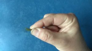 Уловистая приманка для мормышинга и ультралайта.Силикон FLAGMAN HITOMI.