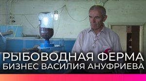 Предприниматель Василий Ануфриев рассказал, как выращивает осетров в Крестецком районе