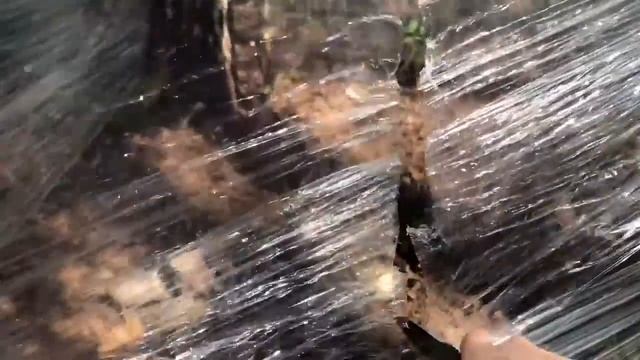 Женская баня в лесу лайфхак жарим шашлык смотреть онлайн