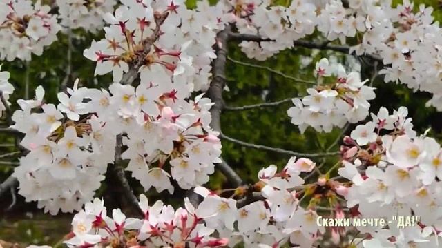Поэзия – как состояние души. Я люблю себя милую, нежную...  Автор стихов СашАдель