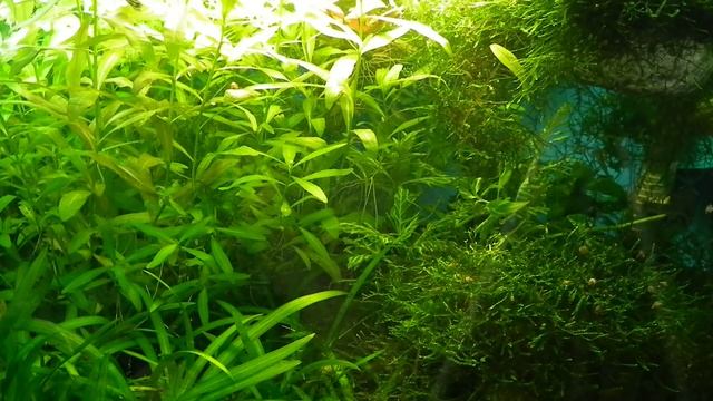 Про болезни , общая информация . смотреть онлайн