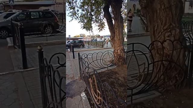 Пояснение к видео об Алтынжаре. смотреть онлайн