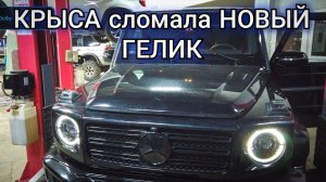 КРЫСА отключила систему безопасности (SRS/AIR BAG) на новом Mercedes Gelandewagen