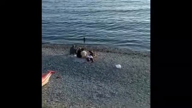 Если черный кот дорогу перейдет, то будет все ОК! смотреть онлайн