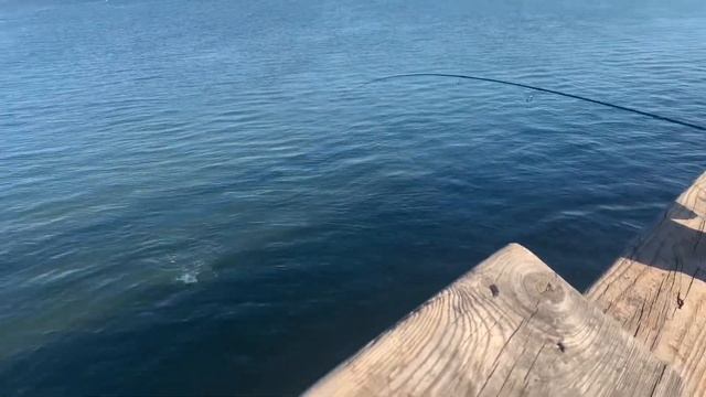 How to start fishing? ￼ Как начать рыбачить?￼ смотреть онлайн