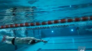 Кроль. Ласты.