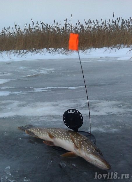 Рыбалка на щуку на флашки смотреть онлайн