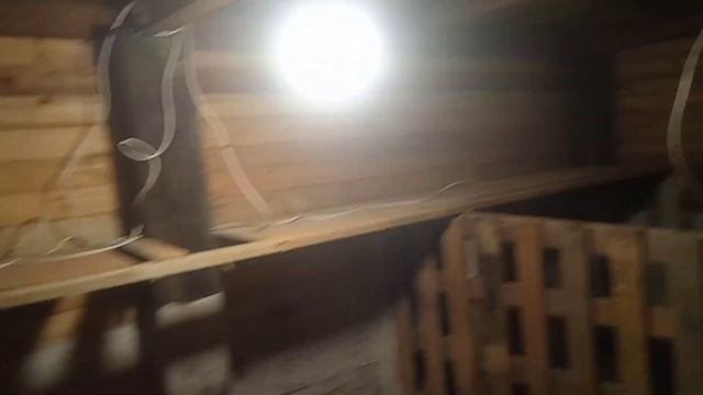 Обзор свинарника со свинками!