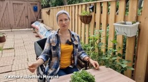 ЦЕЛЕБНЫЕ СВОЙСТВА СОРНЯК МОКРИЦА КАК ЗАГОТОВИТЬ  ИСПОЛЬЗОВАТЬ КОМУ ПОЛЕЗЕН @natureMarusya