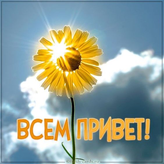 Песня "ПРИВЕТСТВУЮ ТЕБЯ, МОЙ ГОСТЬ!" #Авторскаяпесня #Песниподгитару