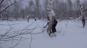 Снегу много, долго маскировать свои следы приходится 24