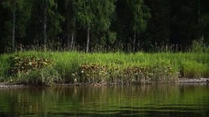Сплав по реке Березовая (Пермский край)